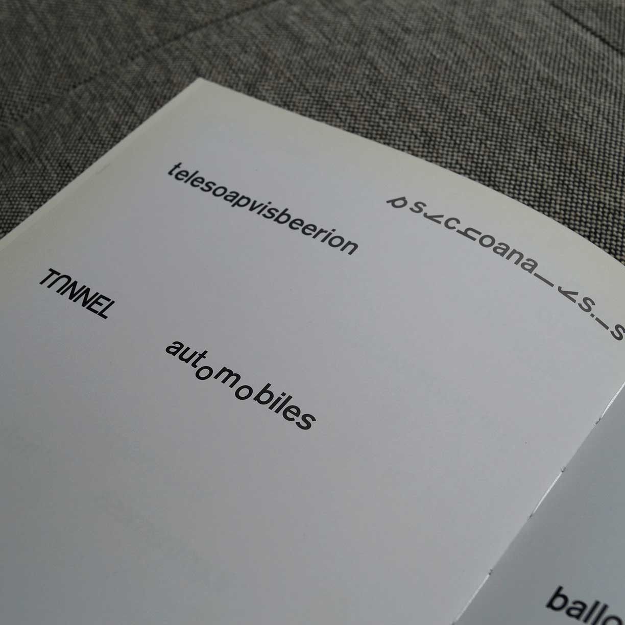 libro-sex-typography-emily